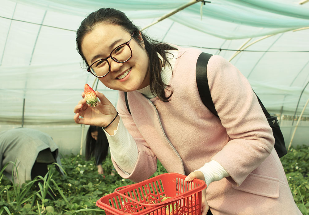 億誠建設三八婦女節(jié)摘草莓