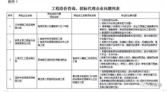 工程造價(jià)咨詢、招標(biāo)代理企業(yè)問題列表